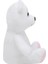 Ayı 20 cm Beyaz Peluş Ayı Çocuk Oyuncak 3