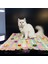 Kedi Köpek Için Çiçekli Renkli Battaniye 2