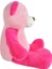 Salaş Ayı 80 cm Pembe Peluş Ayı Çocuk Oyuncak 2