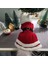 Kedi Köpek için Noel Anne Kostümü 4
