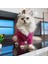 Kedi Köpek için Yumoş Saç Örgülü Tulum 2