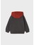Erkek Çocuk Işlemeli Sweatshirt 3