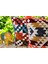 Mofhomecollection Kilim Desen Kırlent Kılıfı 3