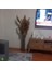 Pampas Natural Dekorasyon Süs Çiçeği 40 3