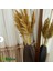 Pampas Natural Dekorasyon Süs Çiçeği 40 5