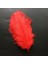 400 Pcs Decor Red Bırd Feather 400 Adet Kırmızı Kuş Tüyü Kırmızı Şeffaf Balon Tüyü Süsleme Tüyü 1