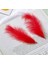 400 Pcs Decor Red Bırd Feather 400 Adet Kırmızı Kuş Tüyü Kırmızı Şeffaf Balon Tüyü Süsleme Tüyü 2