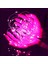 2 Metre Pembe Pilli LED Işık Canlı Pembe Işık IP65 Su Geçirmez Sevgililer Gününe Özel Pembe LED Işık 5