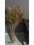 Pampas Natural Dekorasyon Süs Çiçeği 10 2