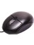 Everest SM-385 USB Kablolu Mouse (4767) - ETC6508-1039 1