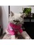 Kedi Köpek için Pembe Çizgili Ayıcıklı Kazak 2