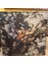 Pink Floyd – Obscured By Clouds - Plak Lp 1