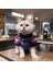 Kedi Köpek için Chucky Kostümü 2