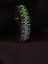 PARACORD GÖKKUŞAĞI İŞLEMELİ HİTİT BİLEKLİK 2