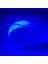 Organze Ip Çapari Ipi Ultraviyole Uv Neon Beyaz Moraran Gizli Mor Makara 7