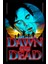 Dawn Of The Dead (1978) (Folyo / Afiş / Poster) 2331 ( 35 cm x 50 cm ) 1