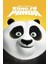Kung Fu Panda (2008) ( Folyo ) - Afiş - POSTER-4224 ( 35 cm x 50 cm ) 1