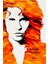 The Doors (1991) 2 (Folyo / Afiş / Poster) 6793 ( 35 cm x 50 cm ) 1