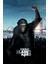 Rise Of The Planet Of The Apes (2011) (Folyo / Afiş / Poster) 5462 ( 35 cm x 50 cm ) 1