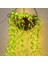 Vıp Kalite Salkım Yaprak LED Işık Gün Işığı LED Salkım Sarmaşık LED Işık 3x1 Metre 180 LED Modlu 2