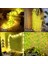 Vıp Kalite Salkım Yaprak LED Işık Gün Işığı LED Salkım Sarmaşık LED Işık 3x1 Metre 180 LED Modlu 3