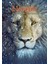 Narnia The Voyage Of The Dawn Treader 2010 6 Poster Afiş ( 35 x 50 cm ) 1