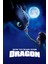 How To Train Your Dragon (2010) 0003 ( Folyo ) - Afiş - POSTER-3636 ( 50 cm x 70 cm ) 1