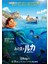 Luca (2021) ( Folyo ) - Afiş - POSTER-4403 ( 50 cm x 70 cm ) 1