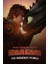 How To Train Your Dragon The Hidden World (2019) 8 (Folyo / Afiş / Poster) 3648 ( 70 cm x 100 cm ) 1