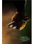 Teenage Mutant Ninja Turtles (2014) 5 (Folyo / Afiş / Poster) 6404 ( 70 cm x 100 cm ) 1