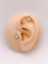 Cerrrahi Çelik Tek Taşlı Kutup Yıldızı Tragus Helix Piercing (1ADET) 1