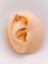 Cerrrahi Çelik Zirkon Taşlı Kuş Figürlü Tragus Helix Piercing (1ADET) 1