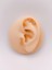 Cerrrahi Çelik Zirkon Taşlı ''eros'un Oku'' Tragus Helix Piercing (1ADET) 1