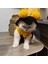 Kedi Köpek Için Arı Maya Yeleği 2