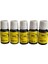 Malt Serisi- 10 ml-viski kiti-viski aroması 1