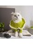 Kedi Köpek Için Yakası Fırfırlı Fıstık Yeşili Tulum 2