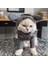 Kedi Köpek Için Gri Işıltılı Tavşan Kostümlü Tulum 2