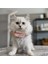 Kedi Köpek için Pembe Ebruli Yakalık 2