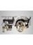 ZEGEN-ZSP107PR - Hıd. Dır. POMP.100 Bar Kasnaklı 125MM 6pk Depolu Peugeot Partner 2.0 Hdı 1996-2008 / Cıtroen Berlıngo 2.0 Hdı 1996-2008 1
