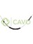 CAVOITH7014.624 - Vites Teli Beetle 1.8-2.5-Golf 2.5-Gtı 2.0-Jetta 2.0 2.5-Passat 1.8 2.5-Sportwagen 2.5 06-15 1