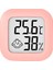 Iç Mekan Sıcaklık ve Nem Sensörü -10°c-70°c %10-%99 Rh (Yurt Dışından) 1
