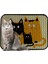 Elekli Tuvalet Önü Desenli Kedi Kumu Paspası 45 x 60 cm 2