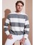 Pamuklu Çizgili Regular Fit Bisiklet Yaka Sweat Erkek Sweat 5905790 1