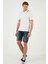 Pamuklu Regular Fit Polo Yaka T Shirt Erkek Polo Yaka T Shirt 5902063 5