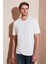 Regular Fit Bisiklet Yaka Basic T Shirt Erkek T Shirt 5902924 2