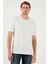 Regular Fit Bisiklet Yaka Basic T Shirt Erkek T Shirt 5902924 3