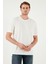 Regular Fit Bisiklet Yaka Basic T Shirt Erkek T Shirt 5902924 5