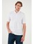 Pamuklu Regular Fit Yarım Fermuarlı Polo Yaka T Shirt Erkek Polo Yaka T Shirt 5901029 4