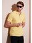 Pamuklu Regular Fit Yarım Fermuarlı Polo Yaka T Shirt Erkek Polo Yaka T Shirt 5901029 2