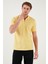 Pamuklu Regular Fit Yarım Fermuarlı Polo Yaka T Shirt Erkek Polo Yaka T Shirt 5901029 3